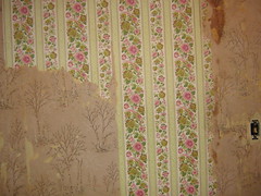 Two Layers of Ugly Ass Wallpaper