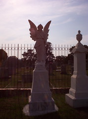 Wolfe's Angel